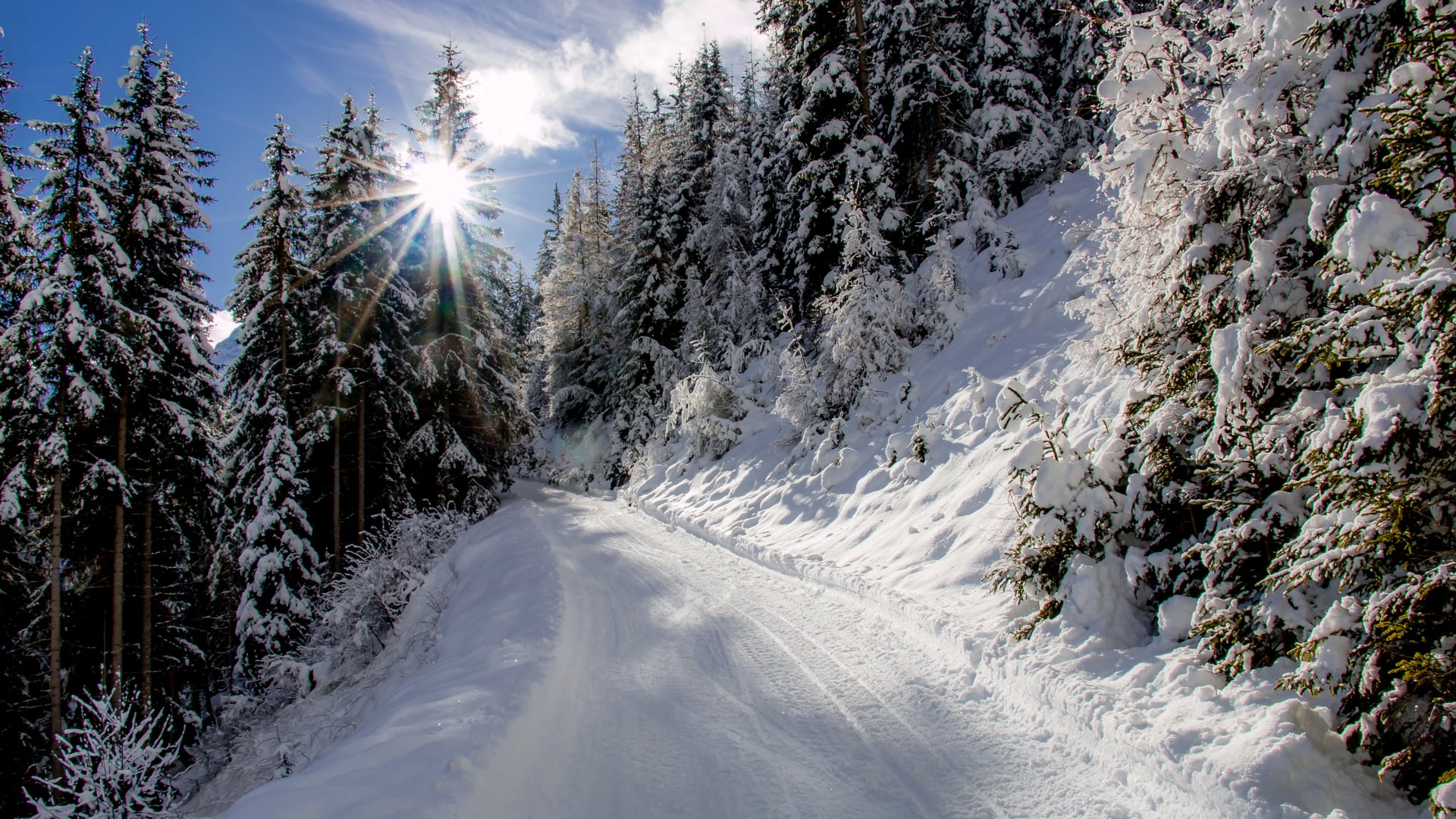 Active holiday in the Dolomites