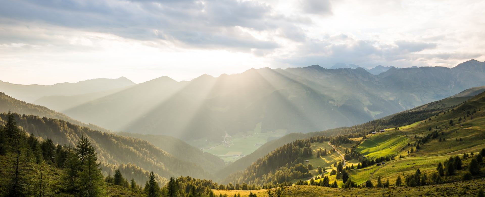 Attività guidate nella natura