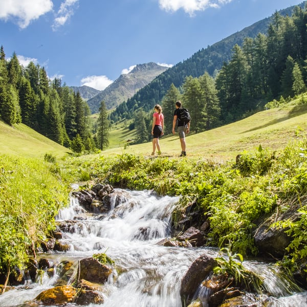 Attività guidate nella natura