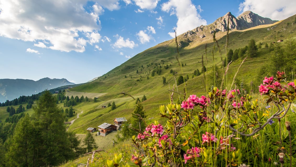 Alpages Tyrol du Sud