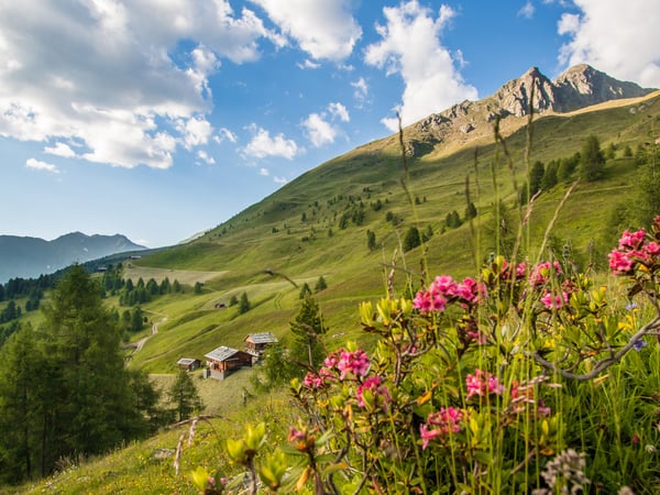 Sentiero delle malghe