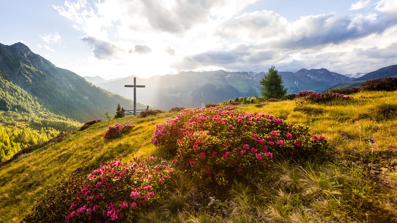 Vacanza in montagna